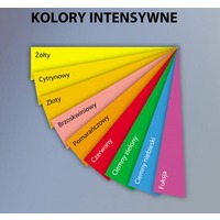 Ksero kolorowe Emerson, ty / intensywne, format A4 / 80g